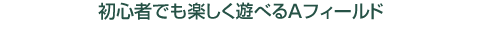 初心者でも楽しく遊べるAフィールド